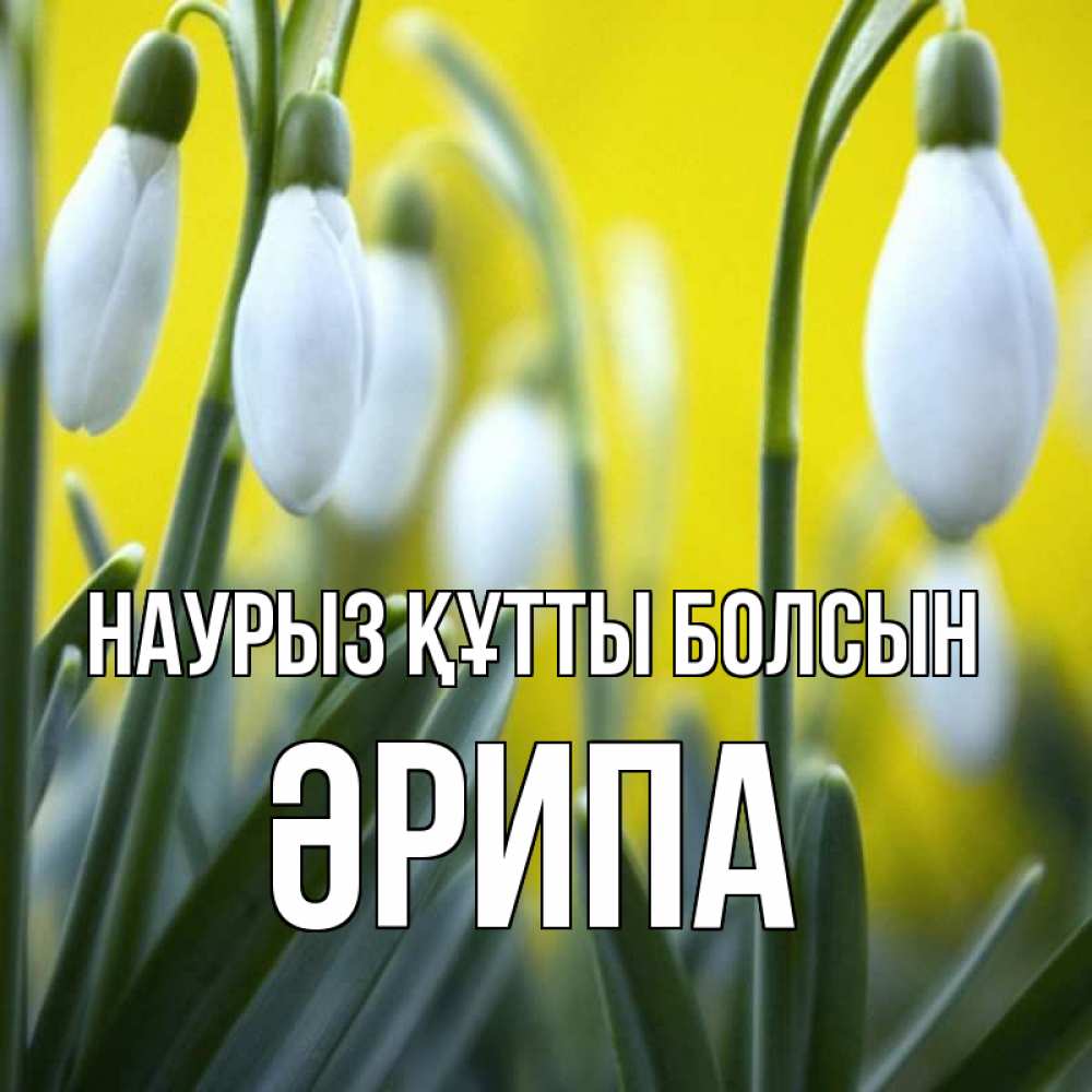 Күн сайын ашық хат с именем, ӘРИПА Наурыз құтты болсын весенние цветы Онлайн тегін жүктеп алу тілектері бар керемет карта 