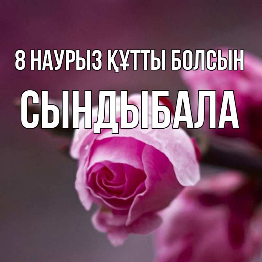 Күн сайын ашық хат с именем, СЫНДЫБАЛА 8 наурыз құтты болсын весна Онлайн тегін жүктеп алу тілектері бар керемет карта 