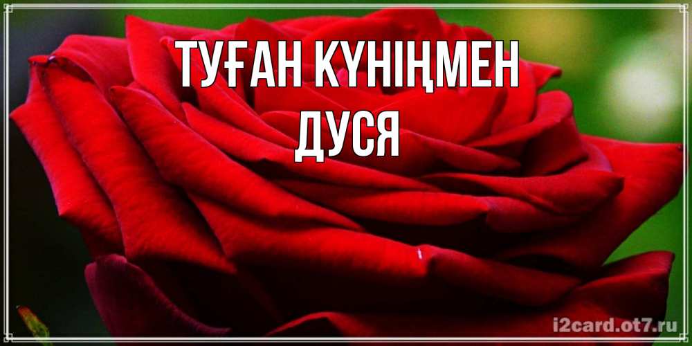 Күн сайын ашық хат с именем, Дуся Туған күніңмен розочка очень красивая Онлайн тегін жүктеп алу тілектері бар керемет карта 