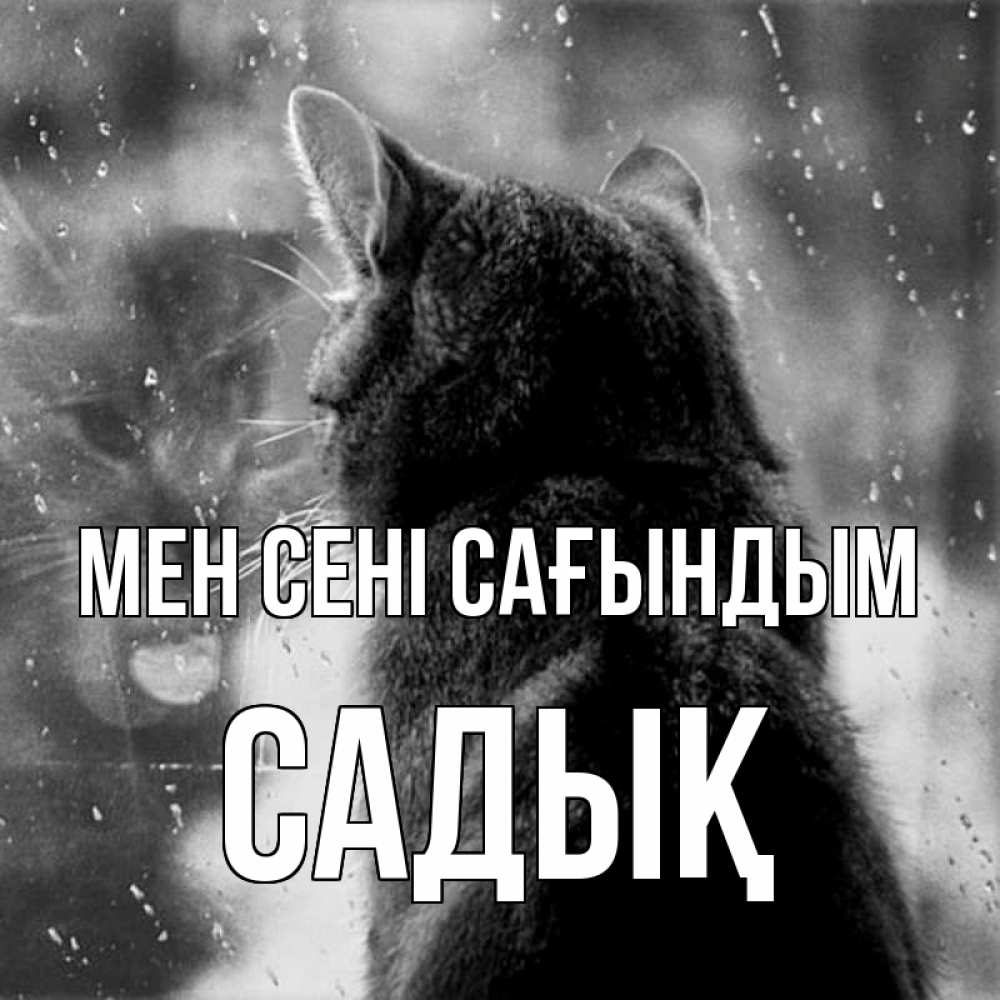 Күн сайын ашық хат с именем, САДЫҚ Мен сені сағындым скорее ко мне приходи 1 Онлайн тегін жүктеп алу тілектері бар керемет карта 