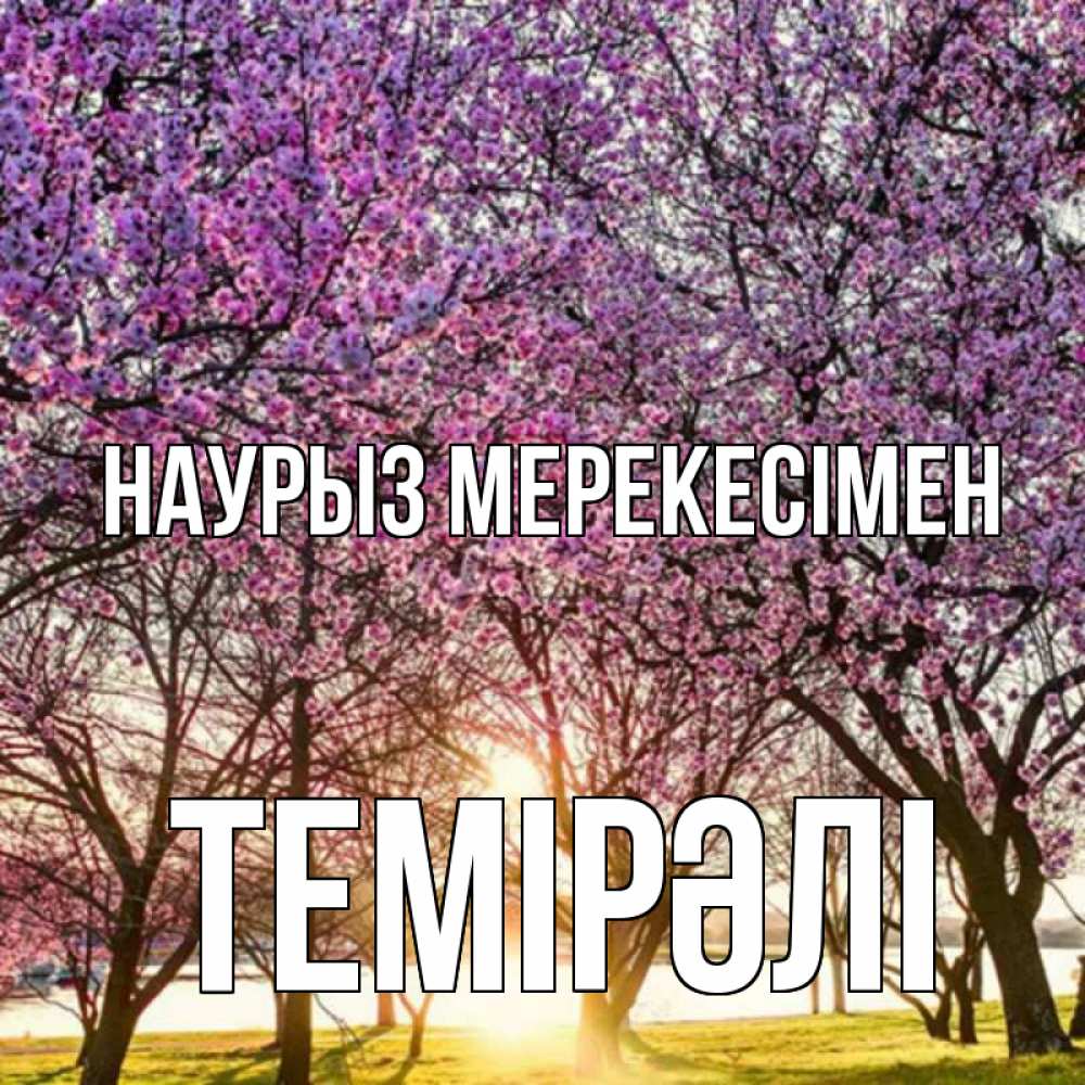Күн сайын ашық хат с именем, ТЕМІРӘЛІ Наурыз мерекесімен праздник весны наурыз Онлайн тегін жүктеп алу тілектері бар керемет карта 