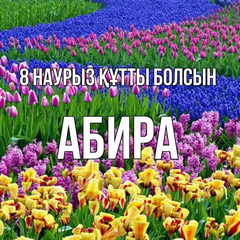 Күн сайын ашық хат с именем, АБИРА 8 наурыз құтты болсын цветы Онлайн тегін жүктеп алу тілектері бар керемет карта 