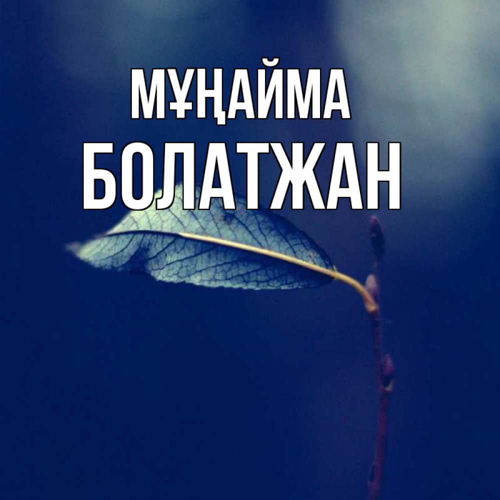 Күн сайын ашық хат с именем, Болатжан Мұңайма растение Онлайн тегін жүктеп алу тілектері бар керемет карта 