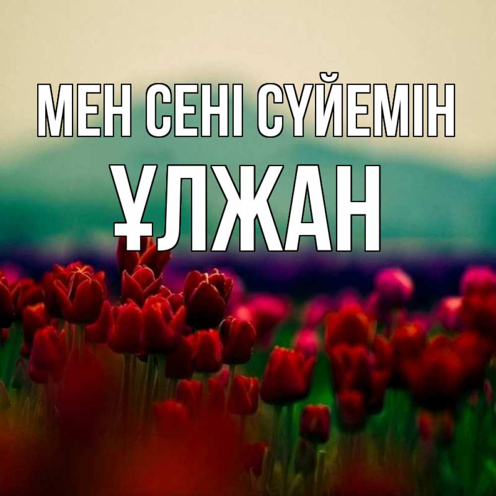 Күн сайын ашық хат с именем, ҰЛЖАН Мен сені сүйемін тюльпаны 4 Онлайн тегін жүктеп алу тілектері бар керемет карта 