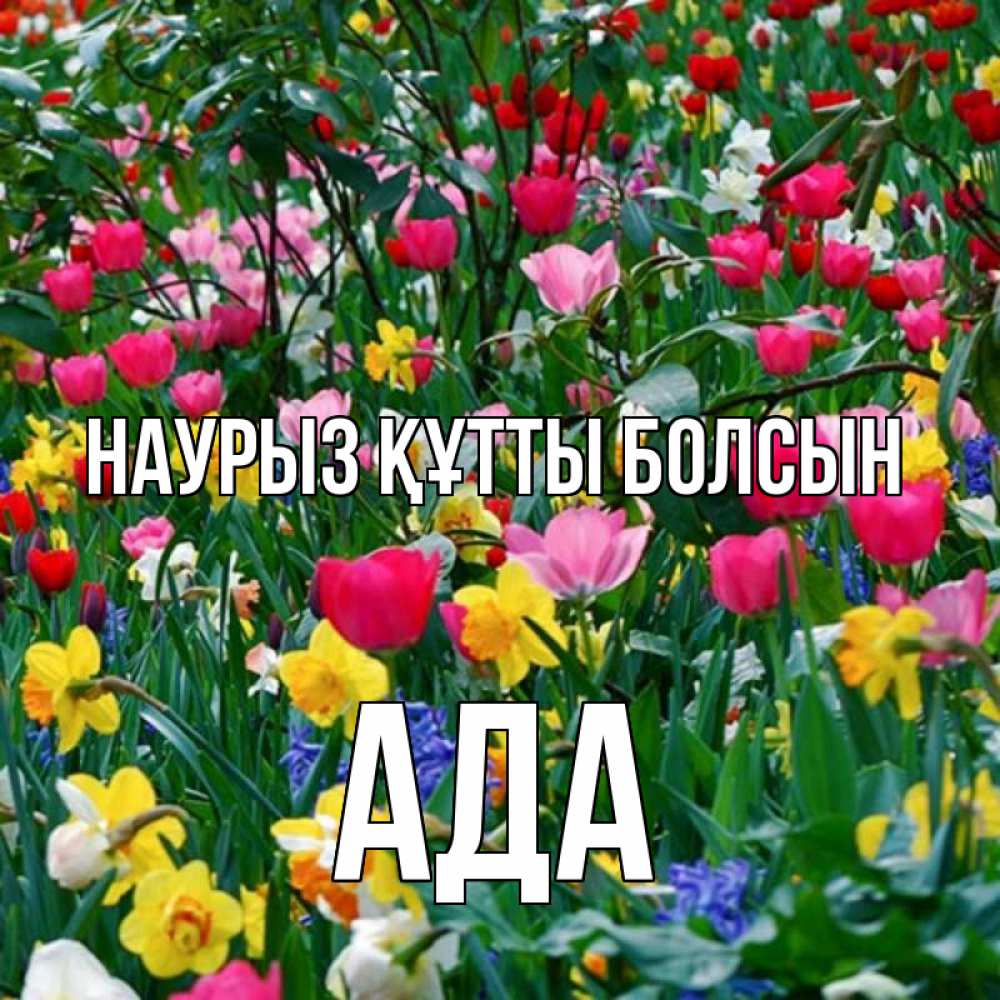 Күн сайын ашық хат с именем, Ада Наурыз құтты болсын с наурызом поздравления для женщины Онлайн тегін жүктеп алу тілектері бар керемет карта 