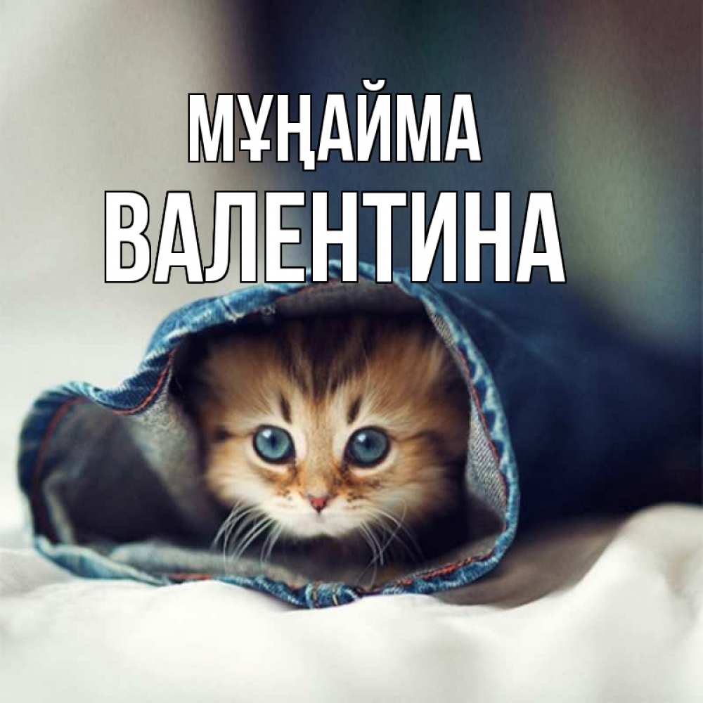 Күн сайын ашық хат с именем, Валентина Мұңайма рыжик котик Онлайн тегін жүктеп алу тілектері бар керемет карта 