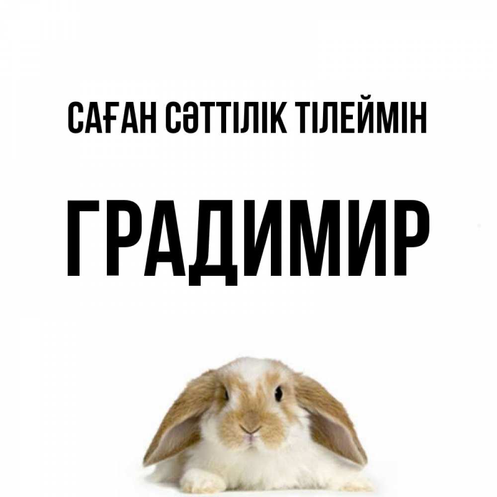 Күн сайын ашық хат с именем, Градимир Саған сәттілік тілеймін открытки с произвольным текстом который можно вставить в открытку и создать ее самостоятельно бесплатно онлайн Онлайн тегін жүктеп алу тілектері бар керемет карта 