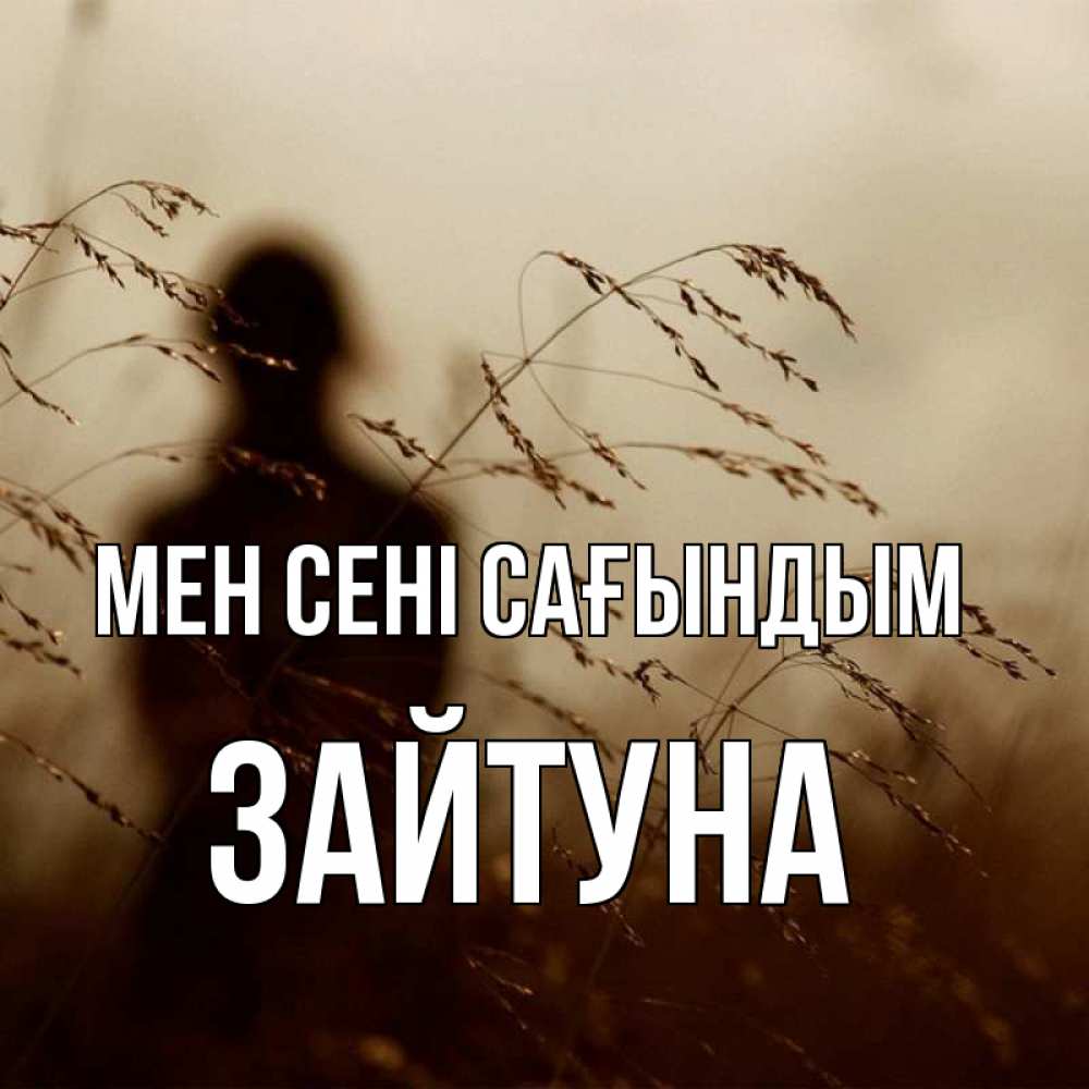 Күн сайын ашық хат с именем, ЗАЙТУНА Мен сені сағындым силуэт девушки Онлайн тегін жүктеп алу тілектері бар керемет карта 