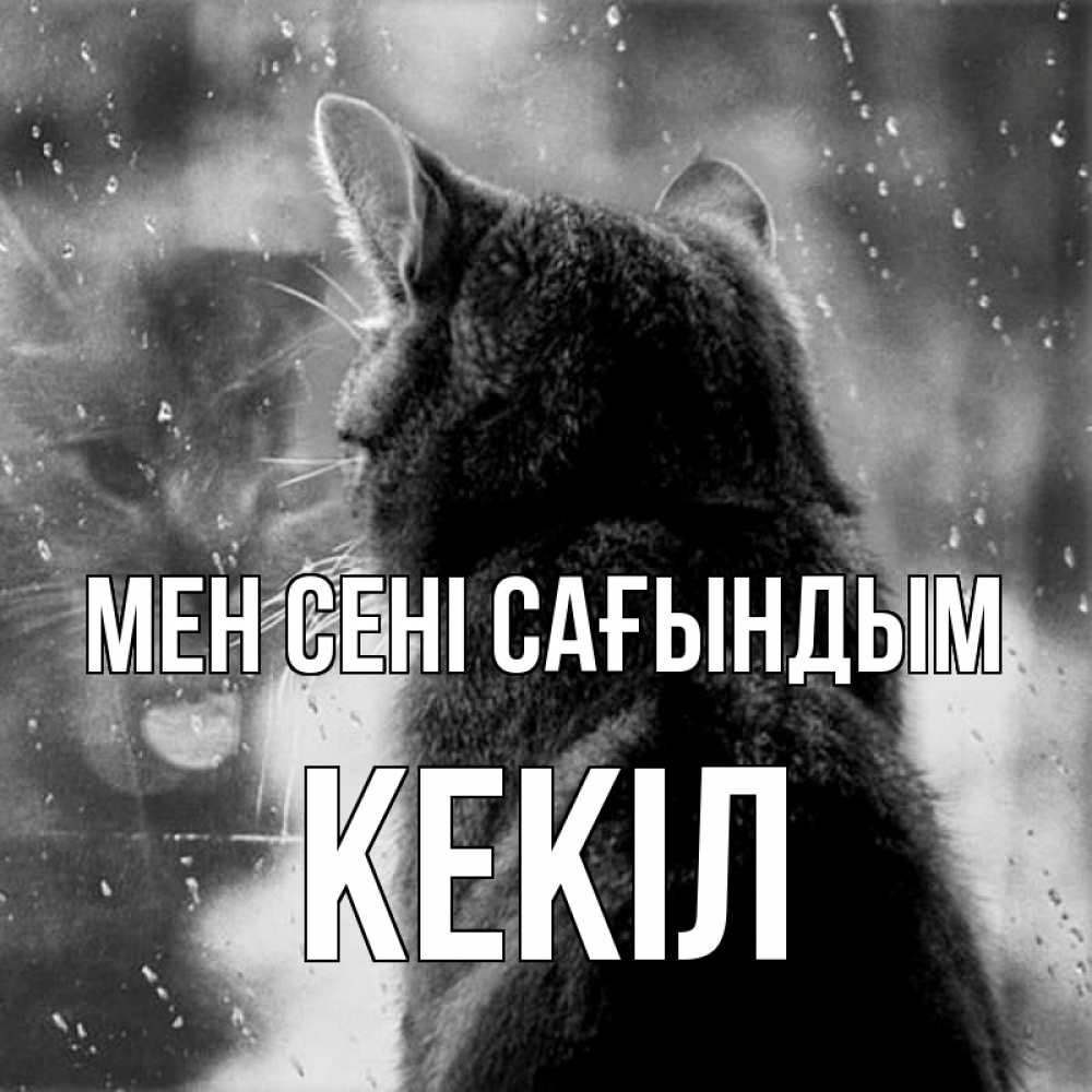 Күн сайын ашық хат с именем, Кекіл Мен сені сағындым скорее ко мне приходи 1 Онлайн тегін жүктеп алу тілектері бар керемет карта 