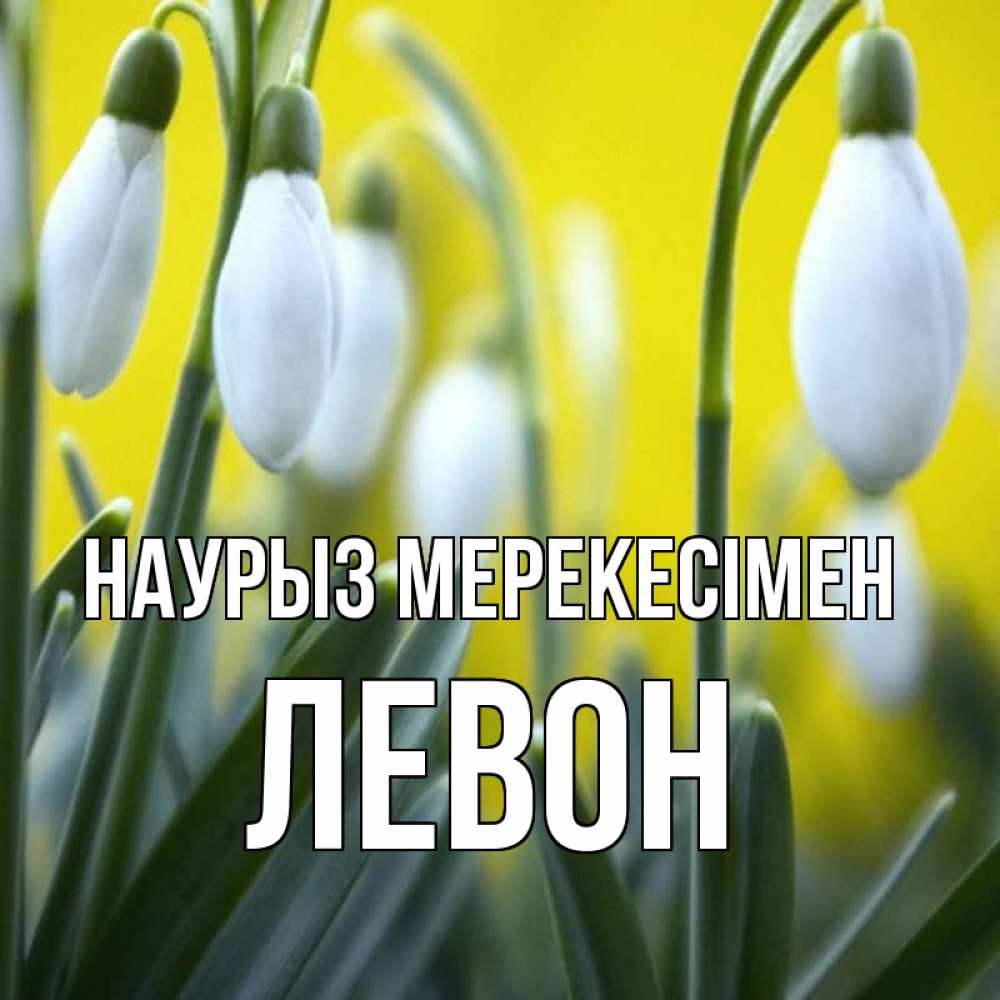 Күн сайын ашық хат с именем, Левон Наурыз мерекесімен весенние цветы Онлайн тегін жүктеп алу тілектері бар керемет карта 
