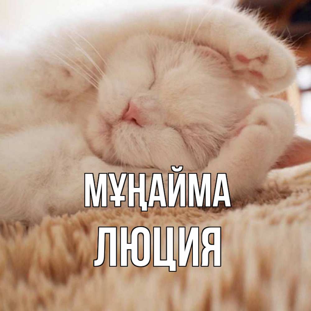 Күн сайын ашық хат с именем, Люция Мұңайма белый кот Онлайн тегін жүктеп алу тілектері бар керемет карта 