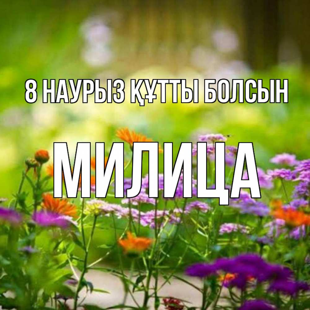 Күн сайын ашық хат с именем, Милица 8 наурыз құтты болсын цветы Онлайн тегін жүктеп алу тілектері бар керемет карта 