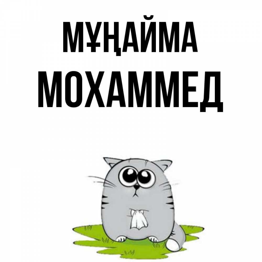 Күн сайын ашық хат с именем, Мохаммед Мұңайма грустный котяра Онлайн тегін жүктеп алу тілектері бар керемет карта 