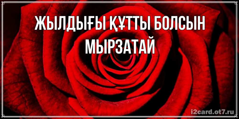 Күн сайын ашық хат с именем, Мырзатай Жылдығы құтты болсын алая роза Онлайн тегін жүктеп алу тілектері бар керемет карта 
