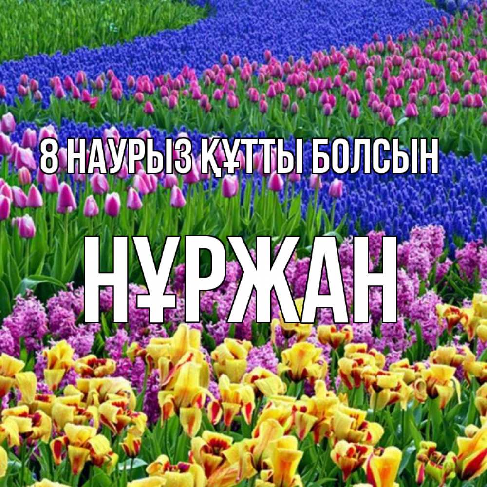 Күн сайын ашық хат с именем, НҰРЖАН 8 наурыз құтты болсын цветы Онлайн тегін жүктеп алу тілектері бар керемет карта 