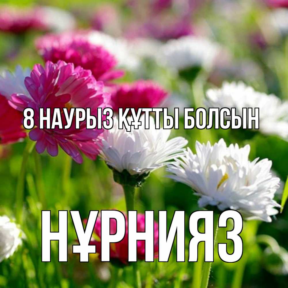 Күн сайын ашық хат с именем, НҰРНИЯЗ 8 наурыз құтты болсын международный женский день 1 Онлайн тегін жүктеп алу тілектері бар керемет карта 