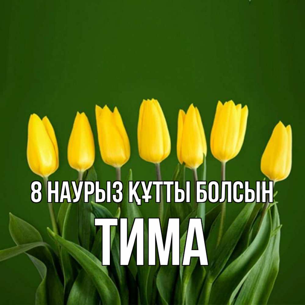 Күн сайын ашық хат с именем, Тима 8 наурыз құтты болсын желтого цвета 3 Онлайн тегін жүктеп алу тілектері бар керемет карта 