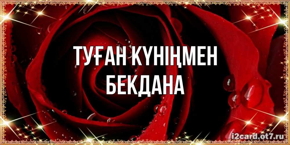 Күн сайын ашық хат с именем, БЕКДАНА Туған күніңмен цветок в росе на день рождения Онлайн тегін жүктеп алу тілектері бар керемет карта 