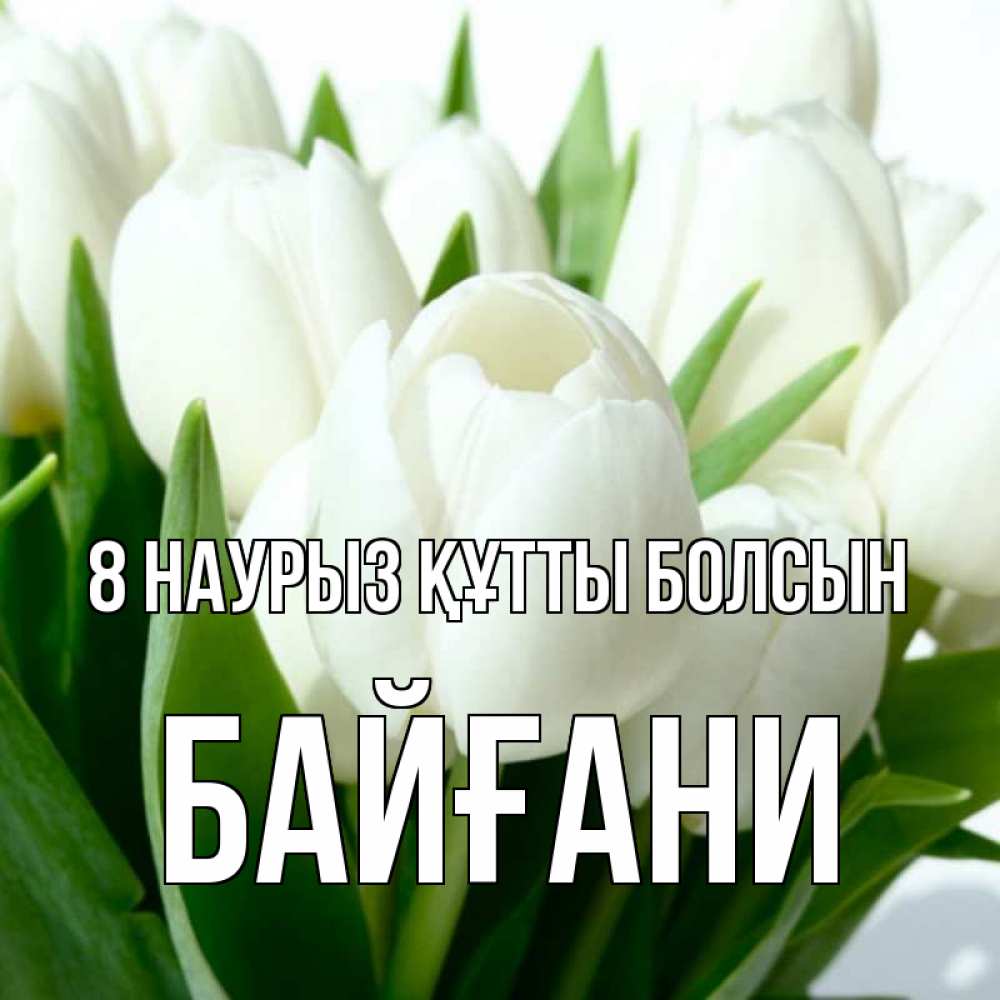 Күн сайын ашық хат с именем, Байғани 8 наурыз құтты болсын цветы Онлайн тегін жүктеп алу тілектері бар керемет карта 