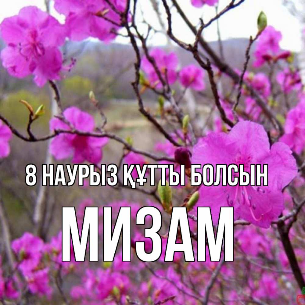 Күн сайын ашық хат с именем, МИЗАМ 8 наурыз құтты болсын международный женский день Онлайн тегін жүктеп алу тілектері бар керемет карта 