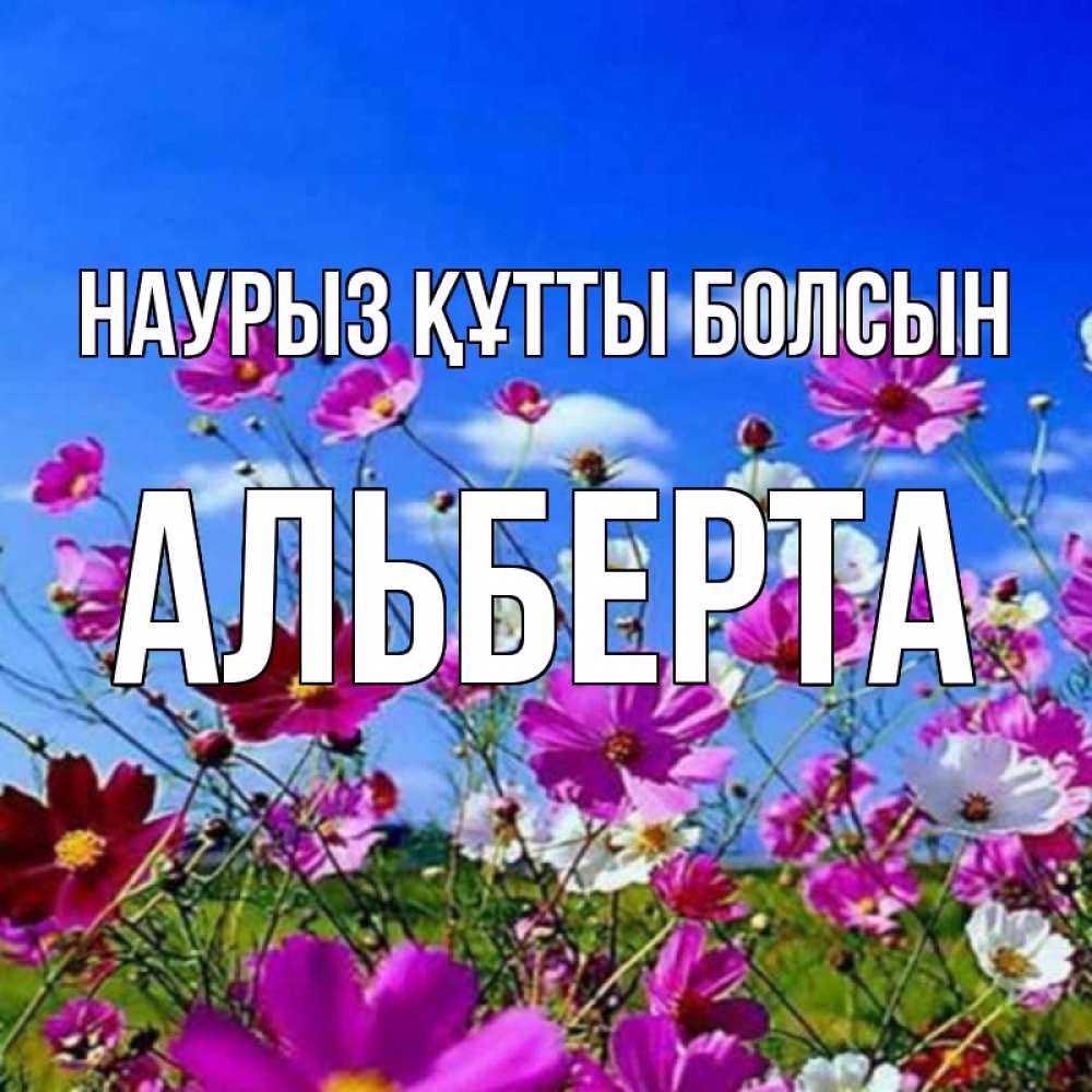 Күн сайын ашық хат с именем, Альберта Наурыз құтты болсын цветы Онлайн тегін жүктеп алу тілектері бар керемет карта 
