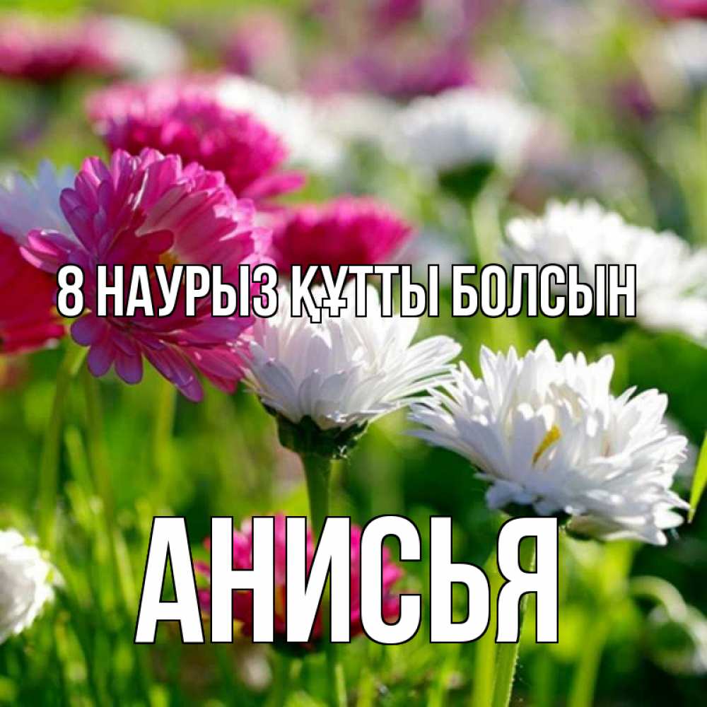 Күн сайын ашық хат с именем, Анисья 8 наурыз құтты болсын международный женский день 1 Онлайн тегін жүктеп алу тілектері бар керемет карта 