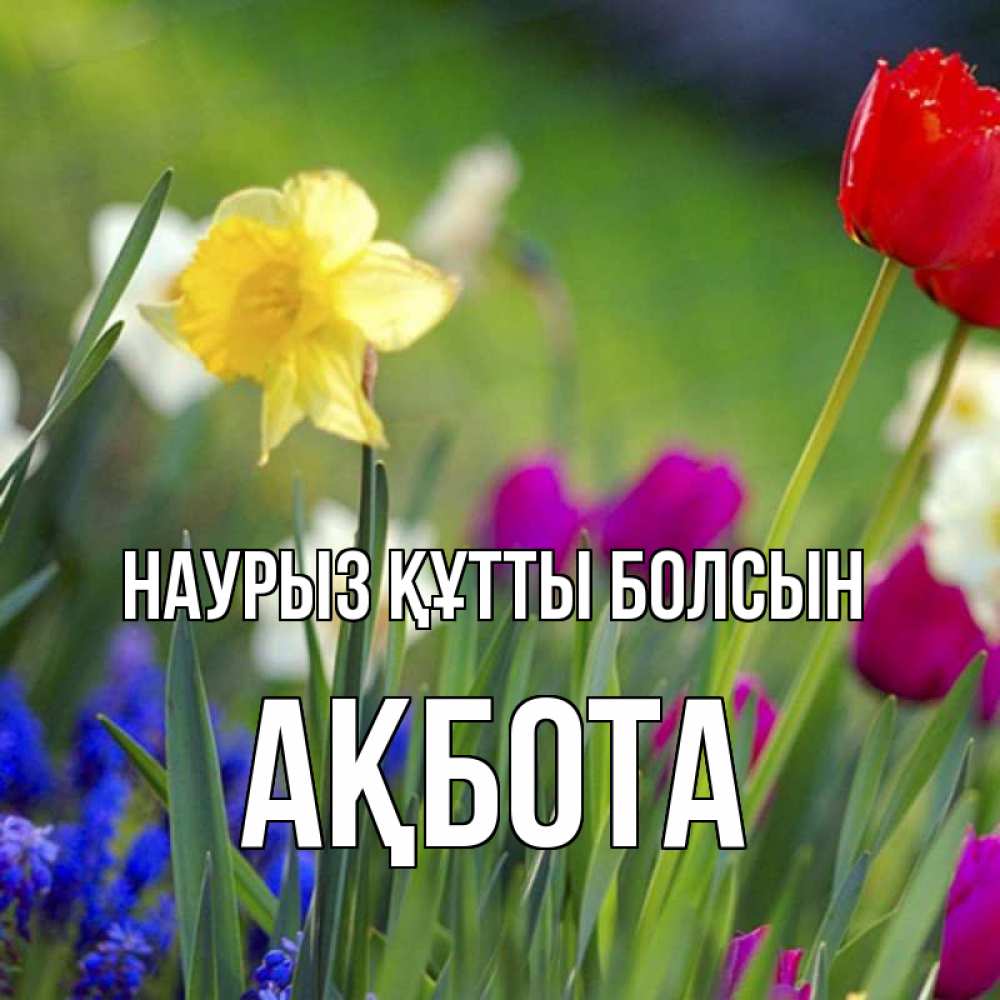 Күн сайын ашық хат с именем, Ақбота Наурыз құтты болсын наурыз  3 открытки Онлайн тегін жүктеп алу тілектері бар керемет карта 