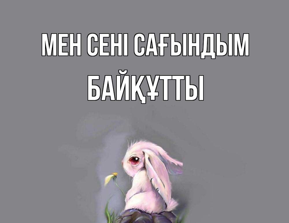 Күн сайын ашық хат с именем, Байқұтты Мен сені сағындым заяц Онлайн тегін жүктеп алу тілектері бар керемет карта 