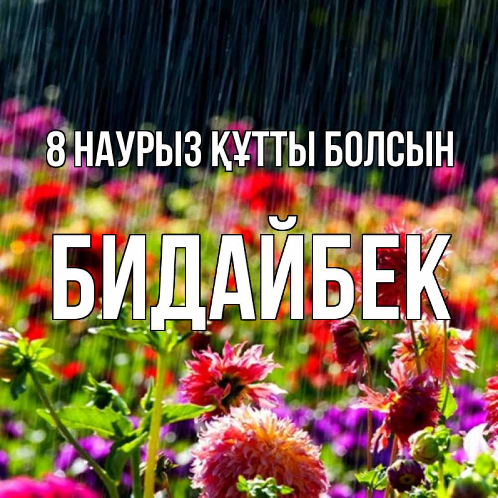Күн сайын ашық хат с именем, Бидайбек 8 наурыз құтты болсын цветы под дождиком к международному женскому дню Онлайн тегін жүктеп алу тілектері бар керемет карта 