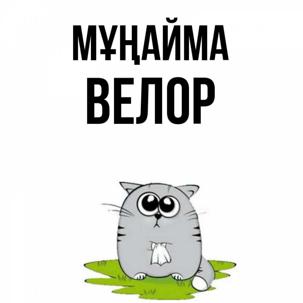 Күн сайын ашық хат с именем, Велор Мұңайма грустный котяра Онлайн тегін жүктеп алу тілектері бар керемет карта 