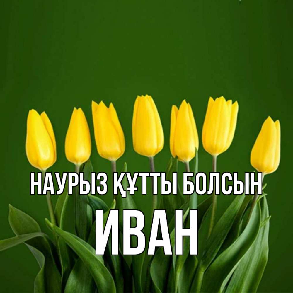 Күн сайын ашық хат с именем, Иван Наурыз құтты болсын желтого цвета 3 Онлайн тегін жүктеп алу тілектері бар керемет карта 
