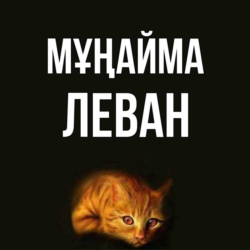 Күн сайын ашық хат с именем, Леван Мұңайма лежащий кот в темноте Онлайн тегін жүктеп алу тілектері бар керемет карта 