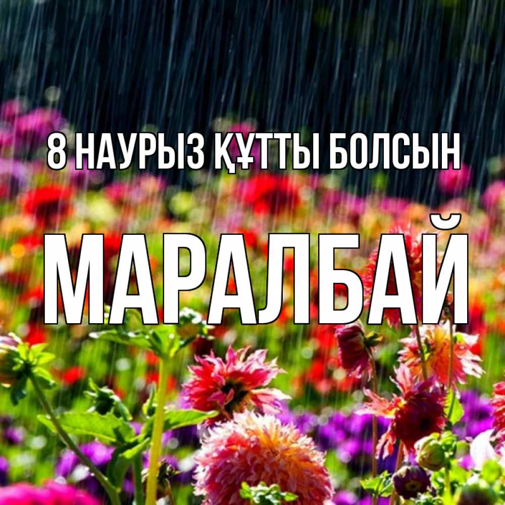 Күн сайын ашық хат с именем, МАРАЛБАЙ 8 наурыз құтты болсын цветы под дождиком к международному женскому дню Онлайн тегін жүктеп алу тілектері бар керемет карта 