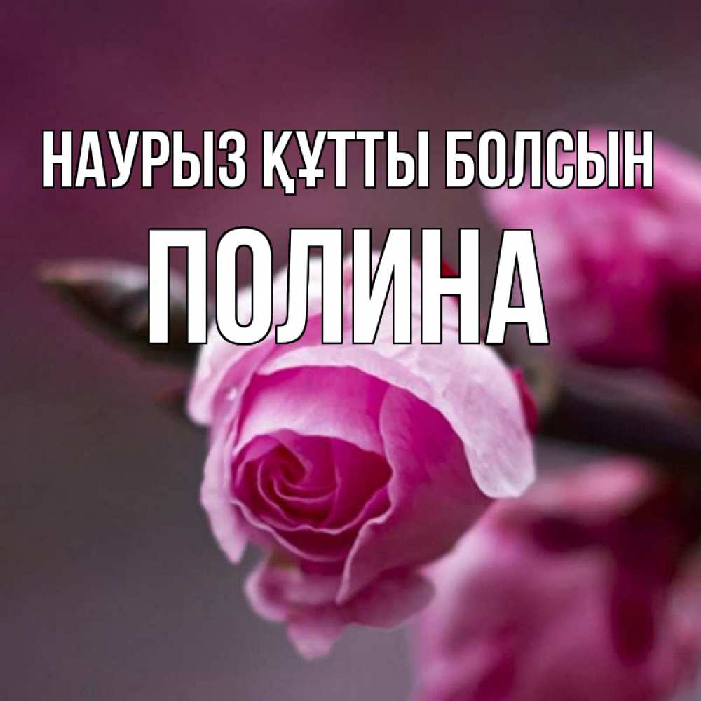 Күн сайын ашық хат с именем, Полина Наурыз құтты болсын весна Онлайн тегін жүктеп алу тілектері бар керемет карта 