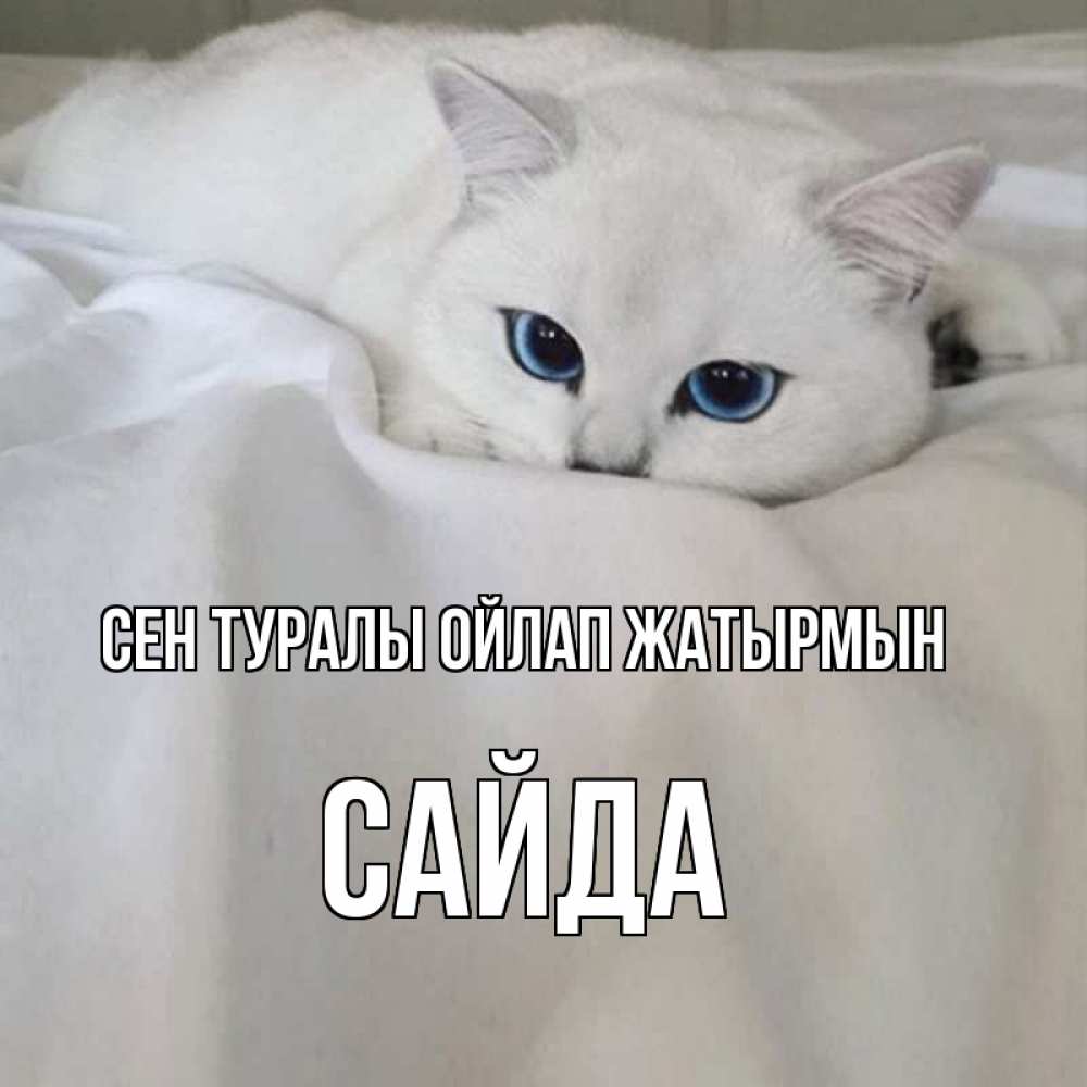 Күн сайын ашық хат с именем, САЙДА Сен туралы ойлап жатырмын я очень по тебе скучаю и тоскую Онлайн тегін жүктеп алу тілектері бар керемет карта 