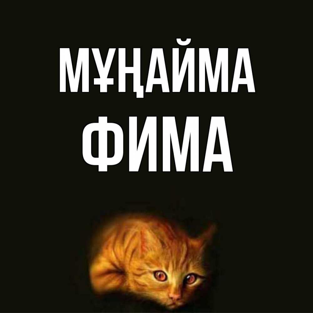 Күн сайын ашық хат с именем, Фима Мұңайма лежащий кот в темноте Онлайн тегін жүктеп алу тілектері бар керемет карта 