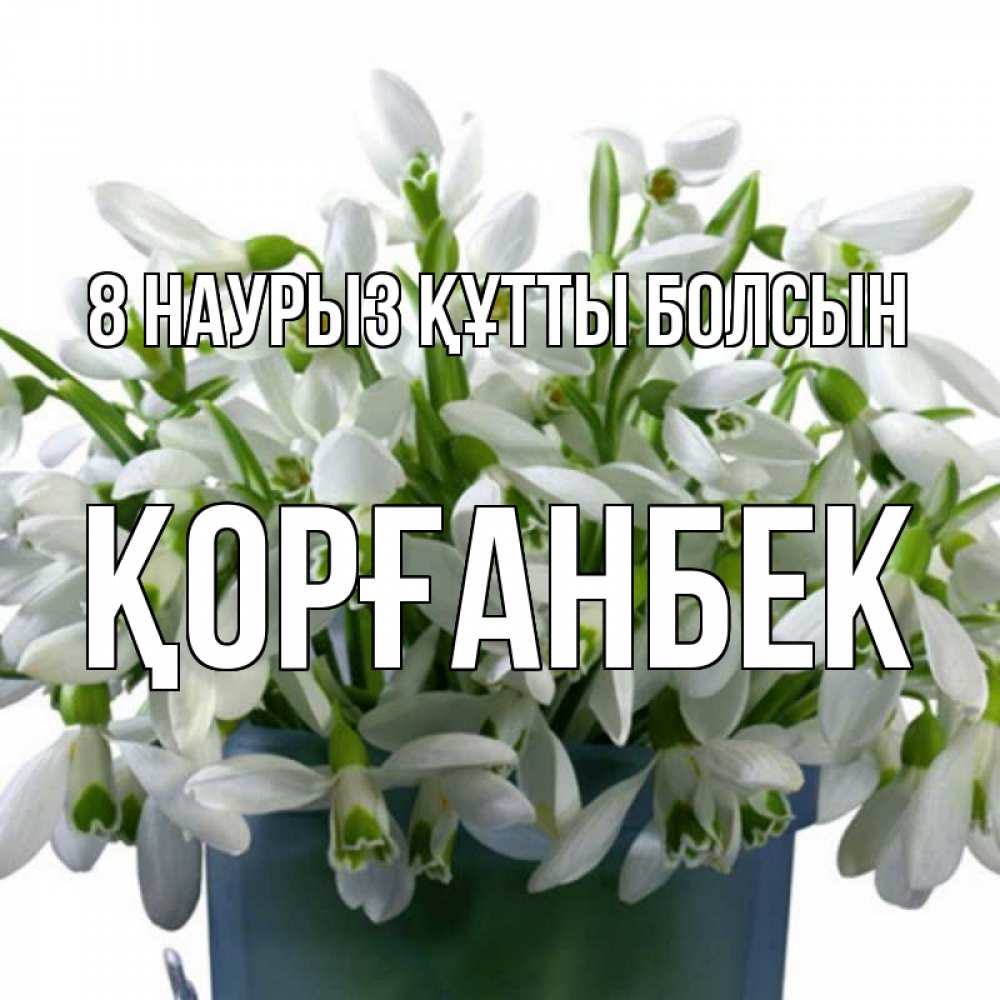 Күн сайын ашық хат с именем, Қорғанбек 8 наурыз құтты болсын цветы к международному женскому дню Онлайн тегін жүктеп алу тілектері бар керемет карта 