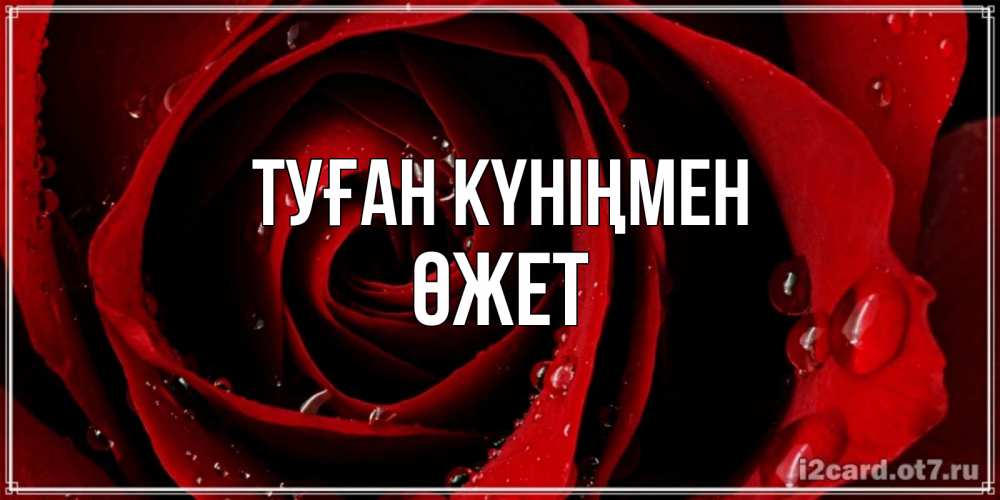 Күн сайын ашық хат с именем, ӨЖЕТ Туған күніңмен крупная бордовая роза Онлайн тегін жүктеп алу тілектері бар керемет карта 