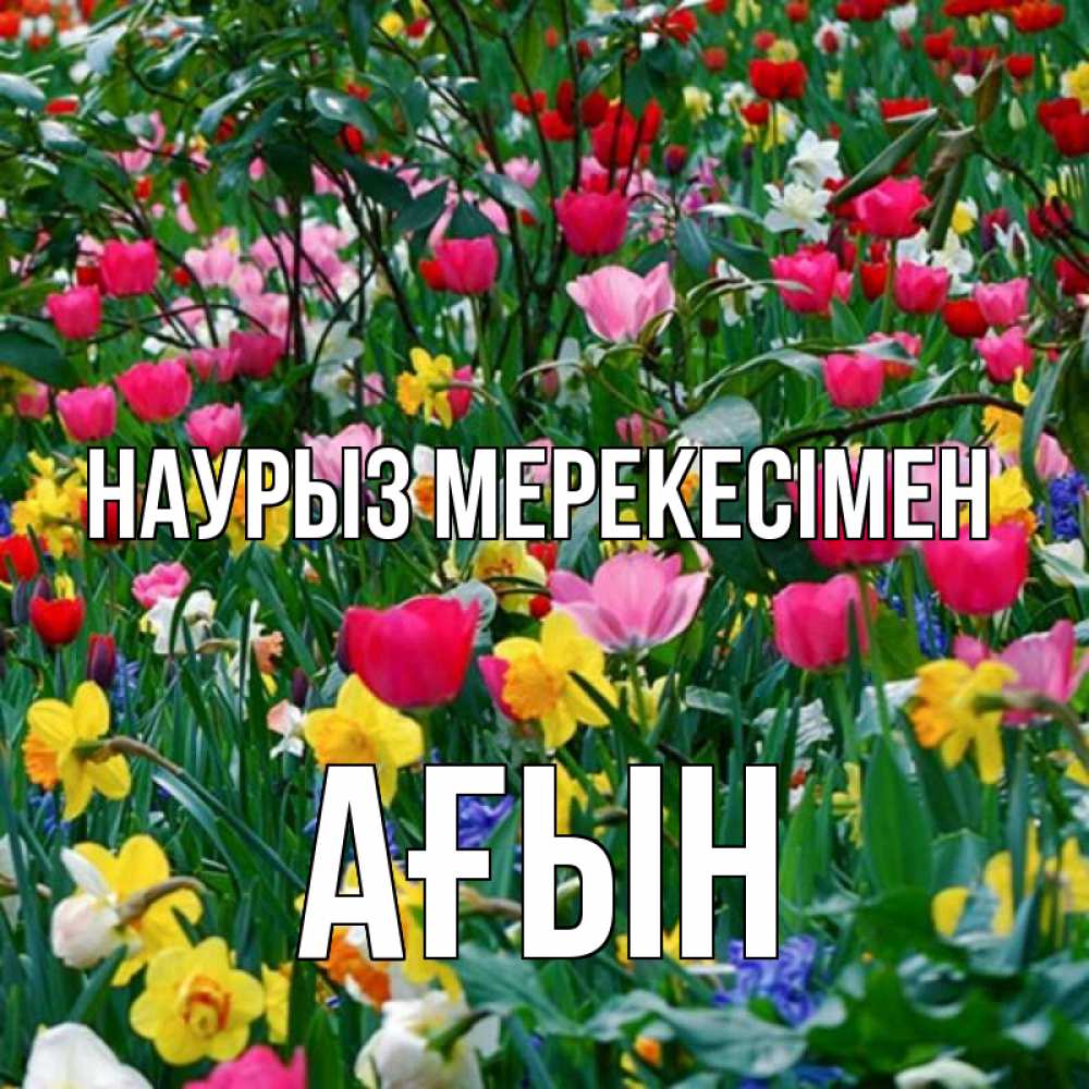 Күн сайын ашық хат с именем, Ағын Наурыз мерекесімен с наурызом праздником весны поздравления для женщины Онлайн тегін жүктеп алу тілектері бар керемет карта 
