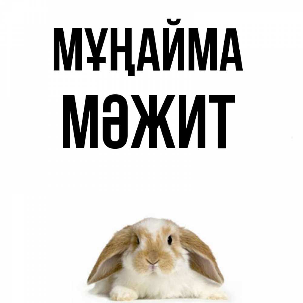 Күн сайын ашық хат с именем, МӘЖИТ Мұңайма коричнево белый заяц с большими ушками Онлайн тегін жүктеп алу тілектері бар керемет карта 