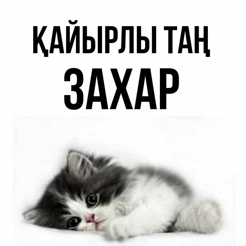 Күн сайын ашық хат с именем, Захар Қайырлы таң кот лапки Онлайн тегін жүктеп алу тілектері бар керемет карта 