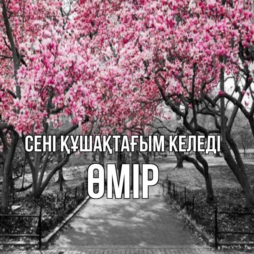 Күн сайын ашық хат с именем, ӨМІР сені құшақтағым келеді обработанное фото Онлайн тегін жүктеп алу тілектері бар керемет карта 