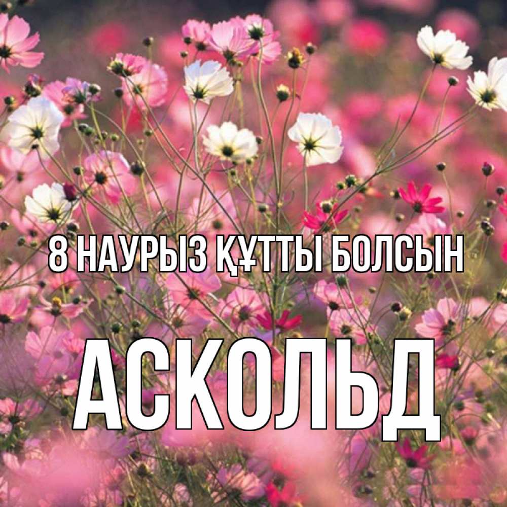 Күн сайын ашық хат с именем, Аскольд 8 наурыз құтты болсын красиво 1 Онлайн тегін жүктеп алу тілектері бар керемет карта 