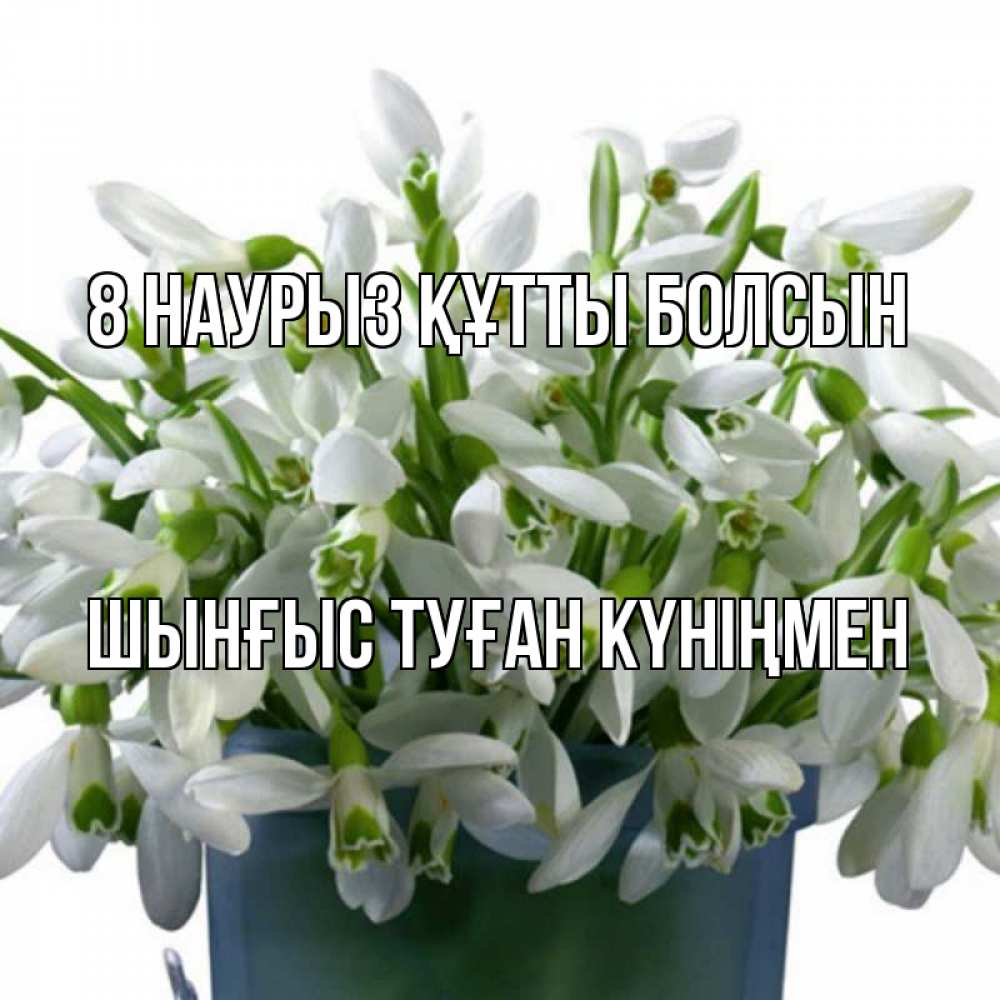 Картинка 8 наурыз құтты болсын, ШЫНҒЫС! ТУҒАН КҮНІҢМЕН!