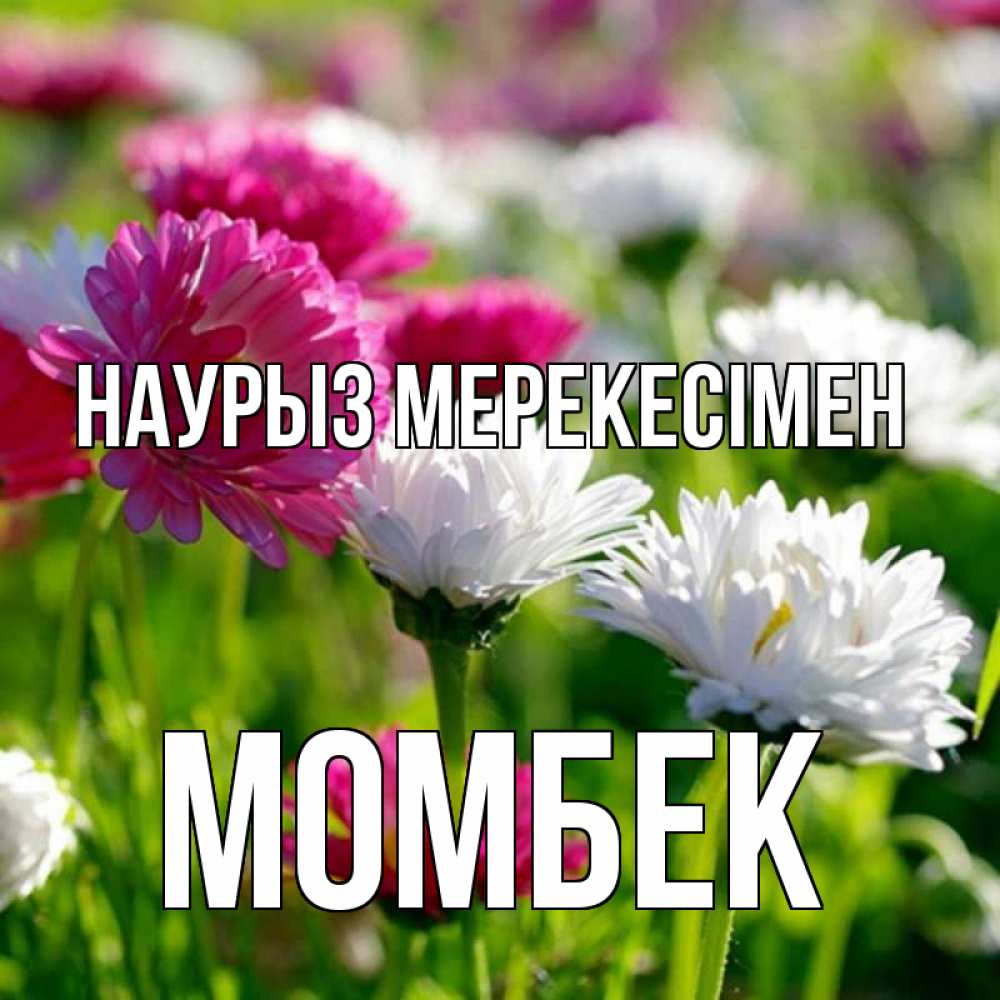 Күн сайын ашық хат с именем, МОМБЕК Наурыз мерекесімен праздник весны наурыз красота Онлайн тегін жүктеп алу тілектері бар керемет карта 