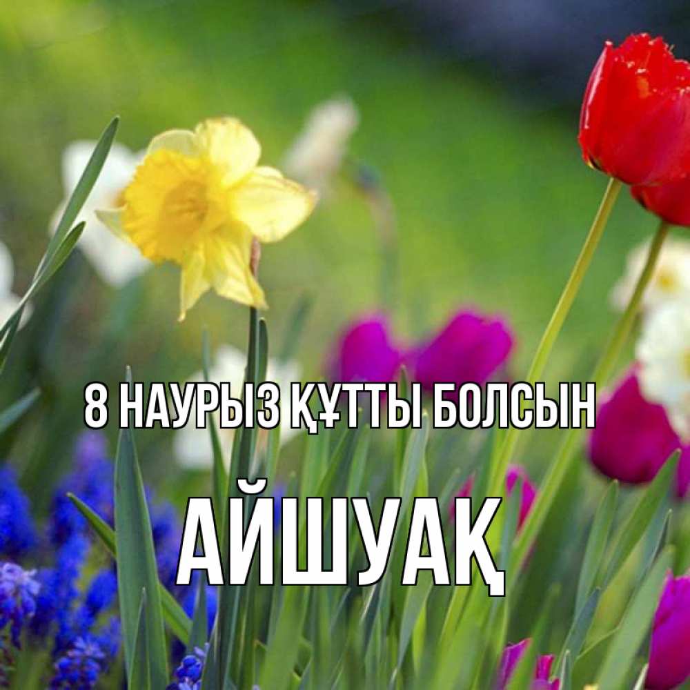 Күн сайын ашық хат с именем, Айшуақ 8 наурыз құтты болсын международный женский день 3 Онлайн тегін жүктеп алу тілектері бар керемет карта 