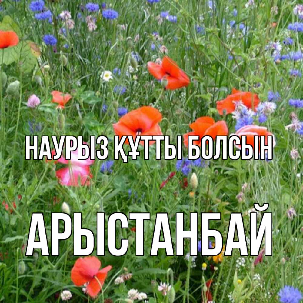 Күн сайын ашық хат с именем, Арыстанбай Наурыз құтты болсын наурыз  4 Онлайн тегін жүктеп алу тілектері бар керемет карта 