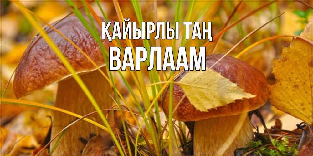 Күн сайын ашық хат с именем, Варлаам Қайырлы таң осенние грибы Онлайн тегін жүктеп алу тілектері бар керемет карта 