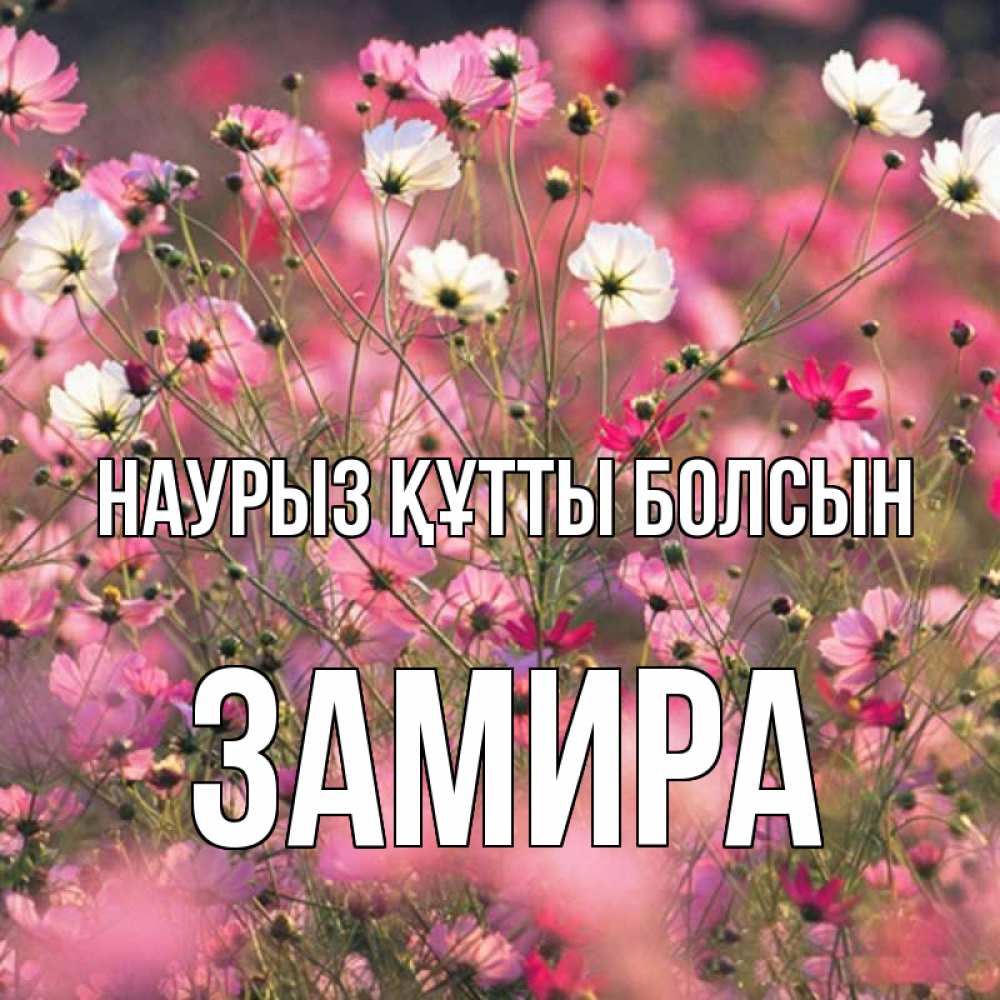 Күн сайын ашық хат с именем, ЗАМИРА Наурыз құтты болсын красиво 1 Онлайн тегін жүктеп алу тілектері бар керемет карта 