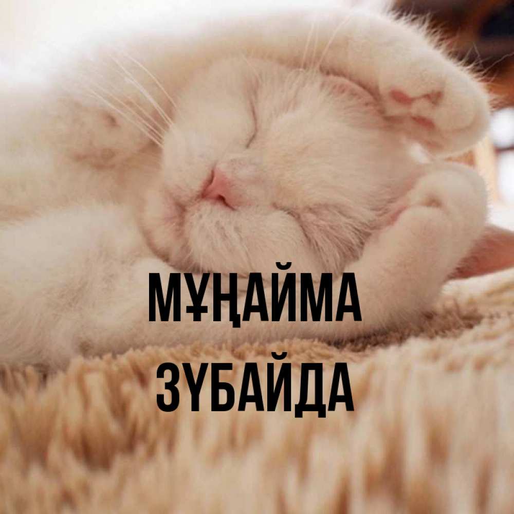 Күн сайын ашық хат с именем, ЗҮБАЙДА Мұңайма Котенок спит Онлайн тегін жүктеп алу тілектері бар керемет карта 